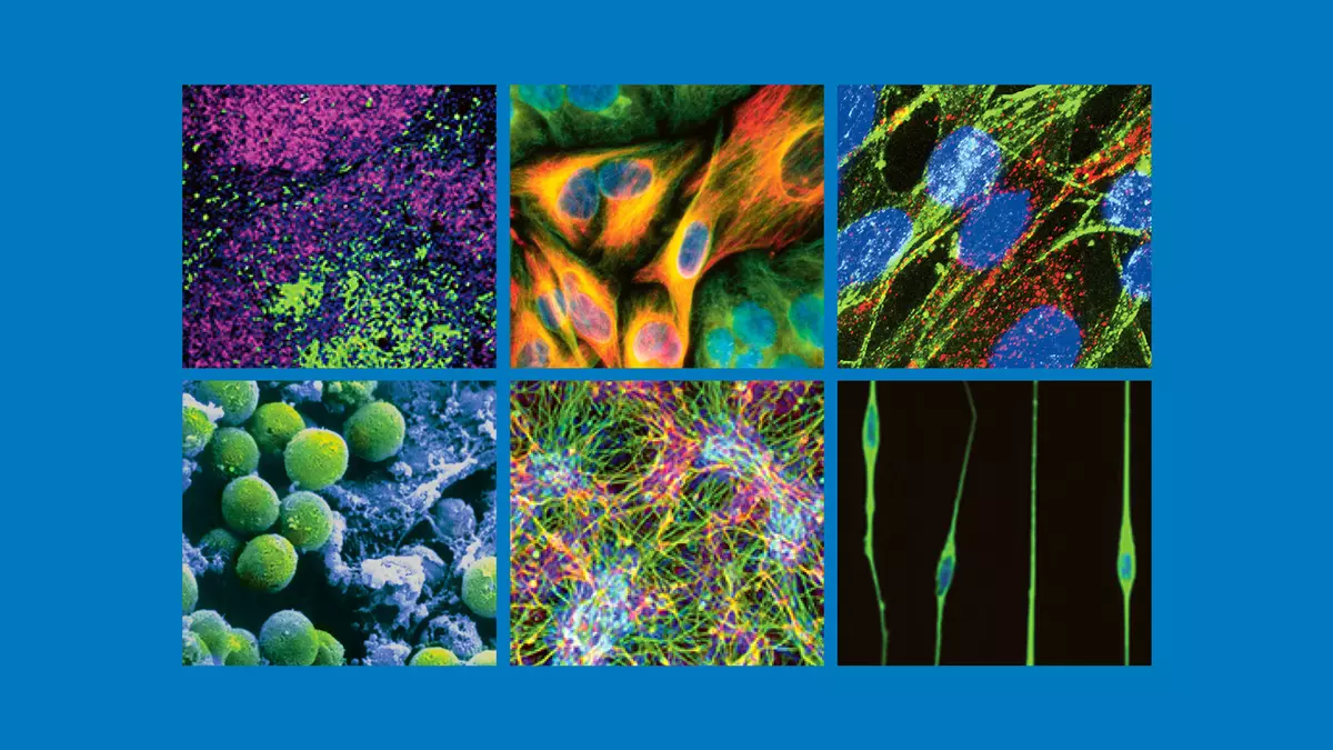 Cover of tangible materials licensing catalogue 