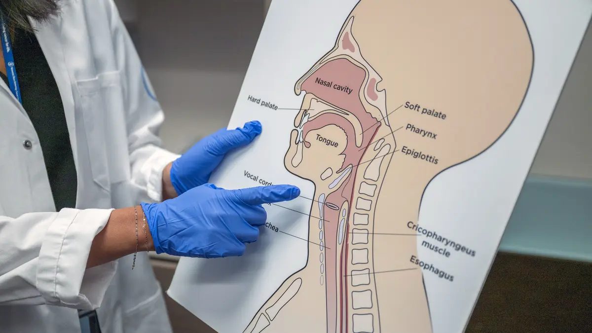 An MSK speech pathologist wears gloves and points to a large illustration of the parts of the throat. 